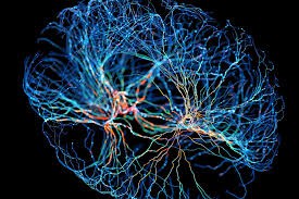 Neuroplastizität und Spiegeltherapie