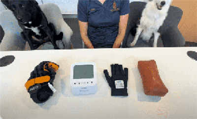 Das Schritt{0}}für-Schritt-Training für den Syrebo E12-Handschuh (von Level 1...